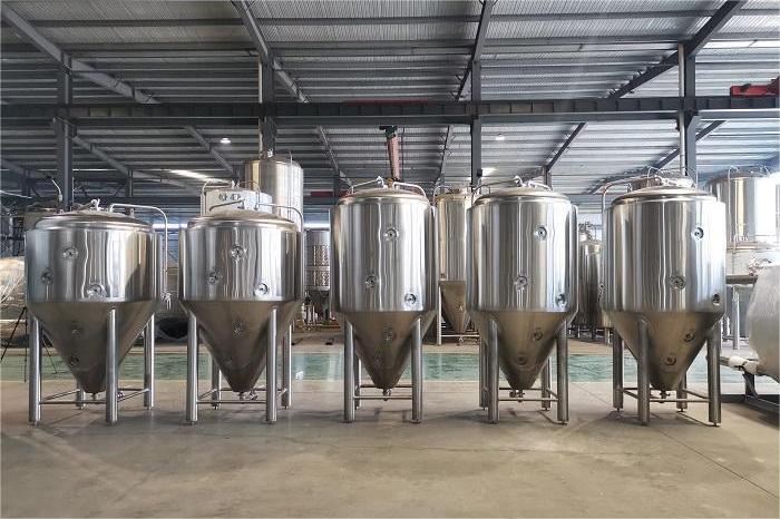 主發酵過程中有哪些關鍵要素？