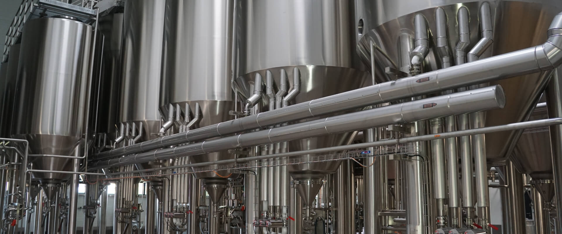 主發(fā)酵的工藝要點是什么？